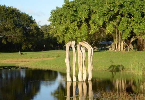 12-27-2015 Elder's Cove Dreher Park Lynn Fundingsland