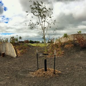 Listening Garden is nearly complete