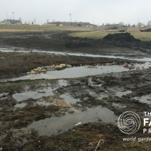 Silt, clay and water make for a muddy basin